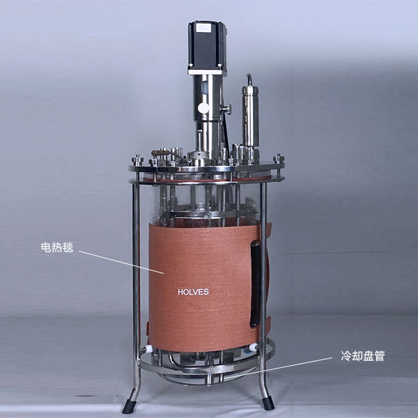 黄瓜视频污版下载(HOLVES)实验黄瓜视频下载黄 黄瓜视频污版下载(HOLVES)实验黄瓜视频下载黄
