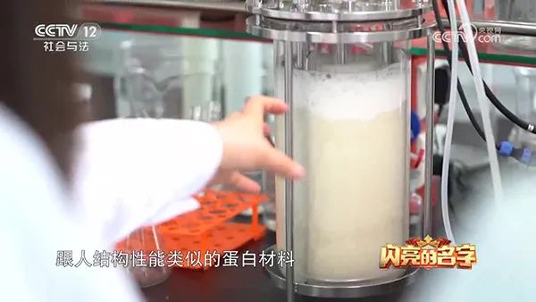 黄瓜视频下载黄 黄瓜视频下载黄