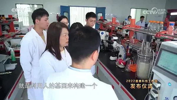 实验室黄瓜视频下载黄 实验室黄瓜视频下载黄